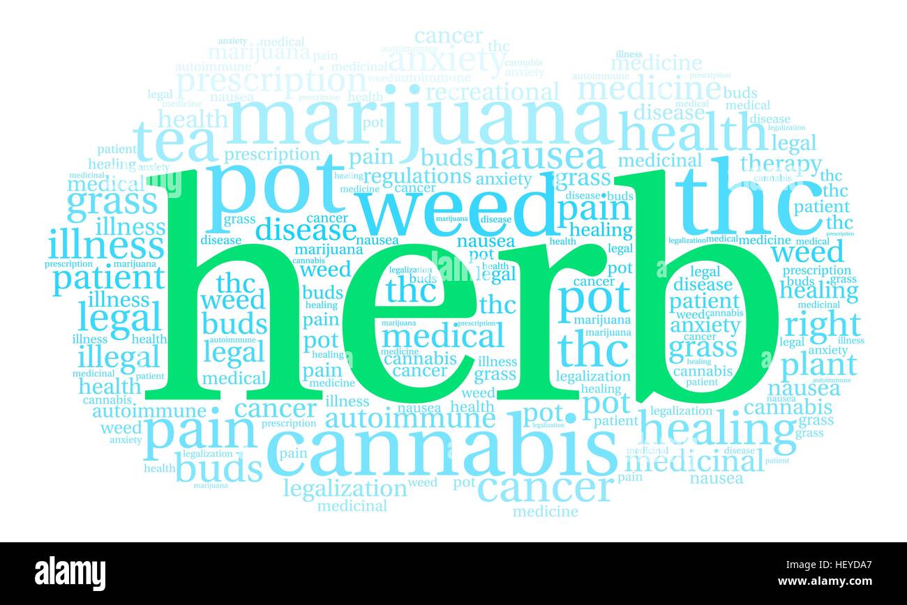 Herb word cloud on a white background Stock Vector Image & Art Alamy