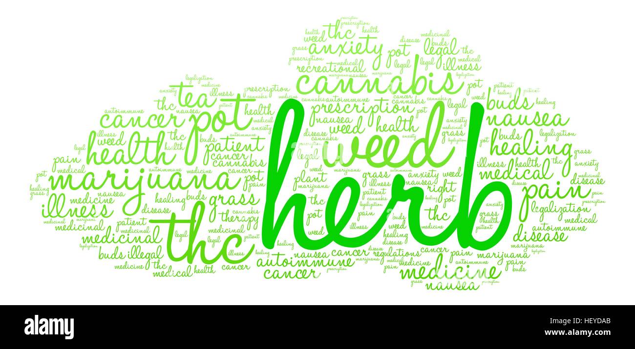 Herb word cloud on a white background Stock Vector Image & Art Alamy