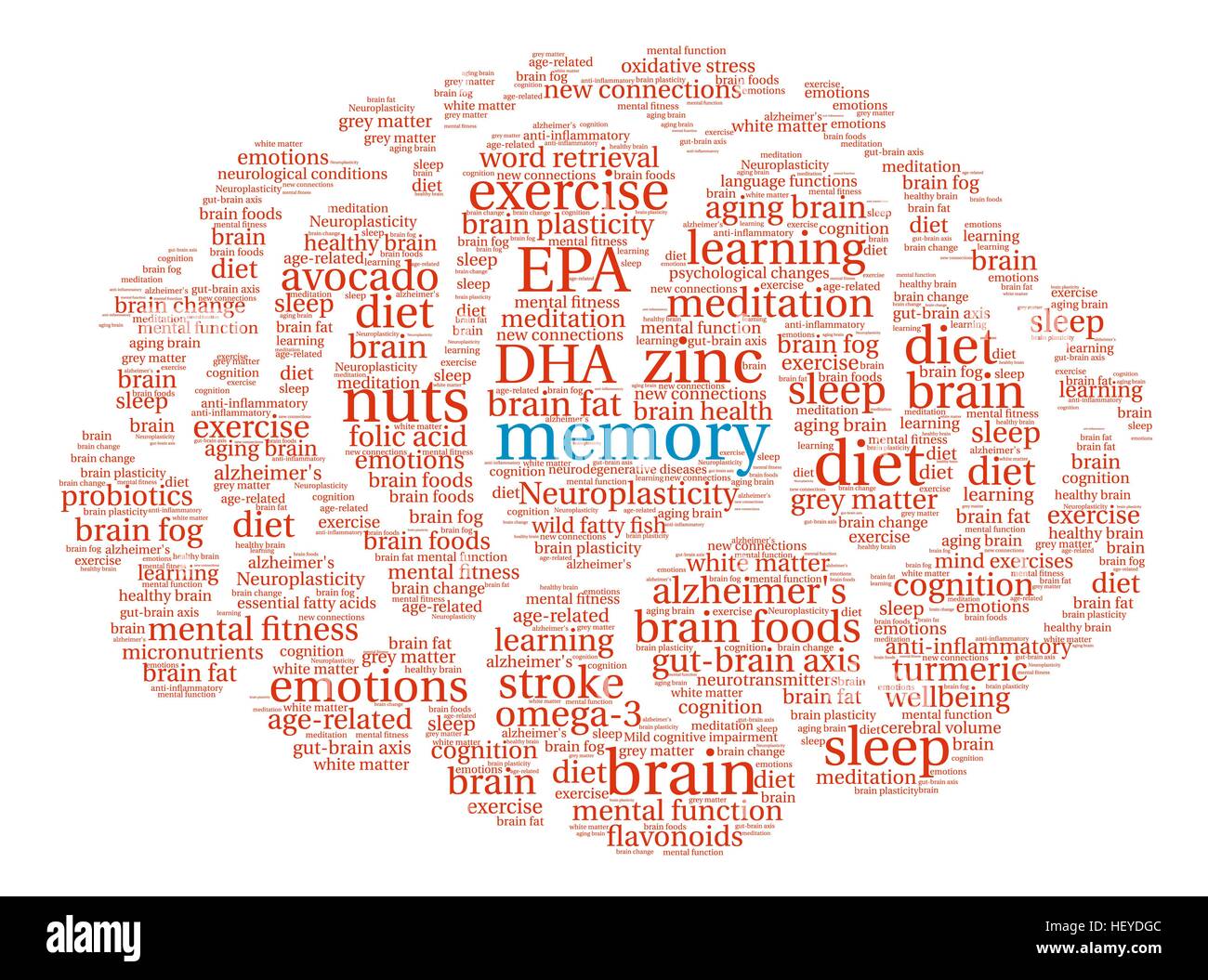 Memory Brain word cloud on a white background. Stock Vector