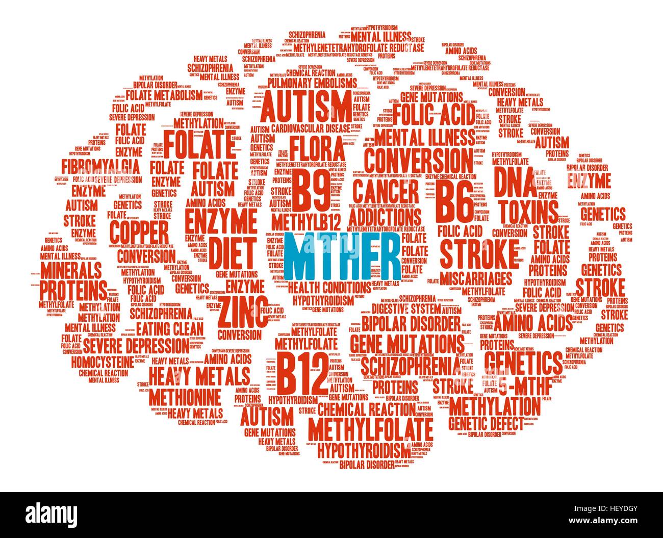 MTHFR Brain word cloud on a white background. Stock Vector