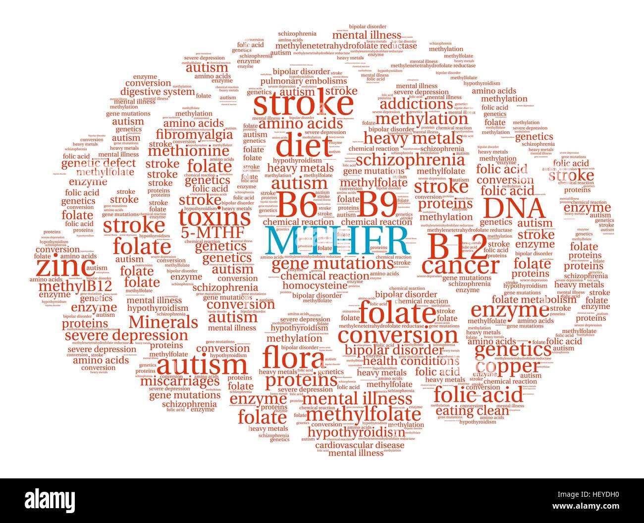 MTHFR Brain word cloud on a white background. Stock Vector