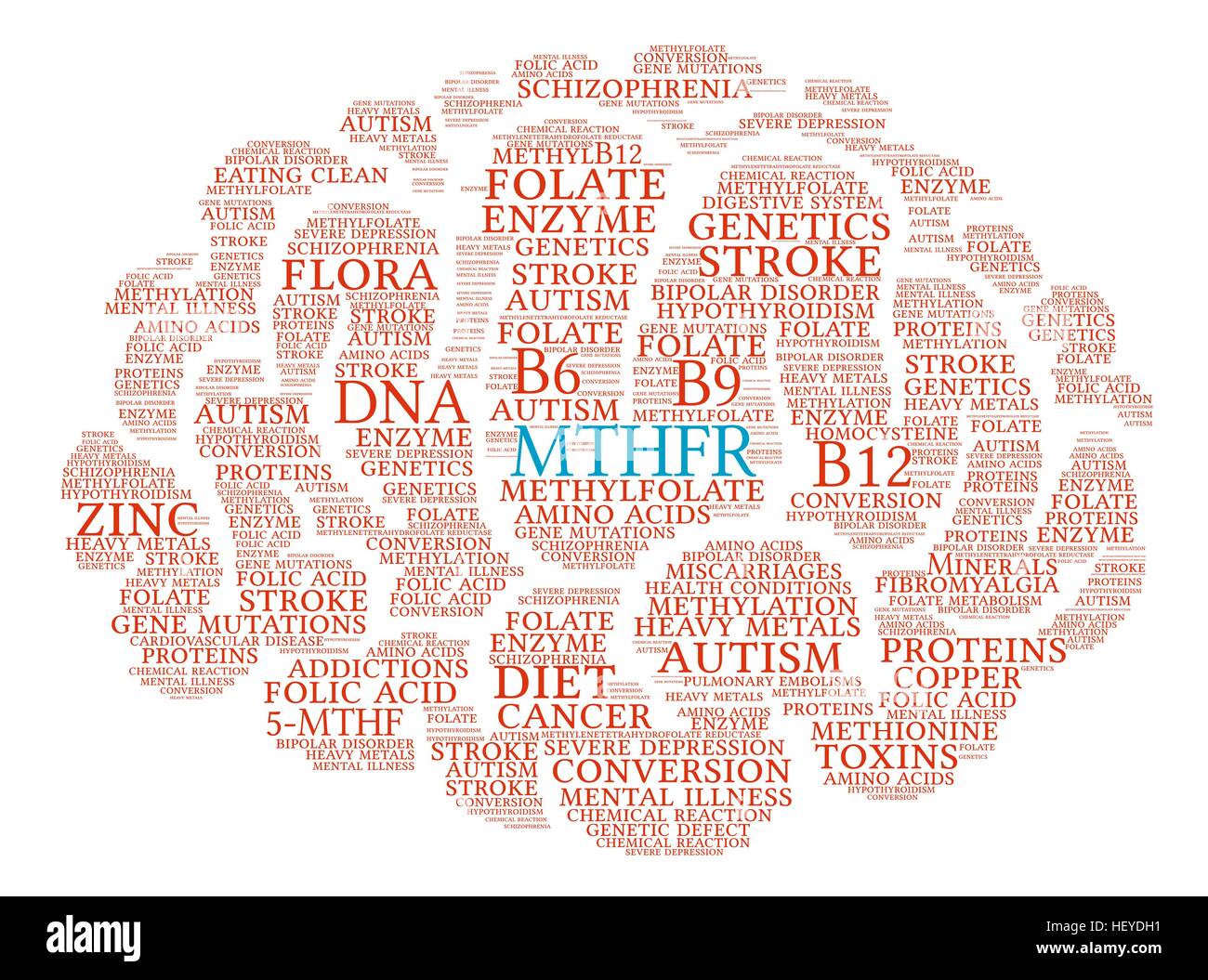 MTHFR Brain word cloud on a white background. Stock Vector