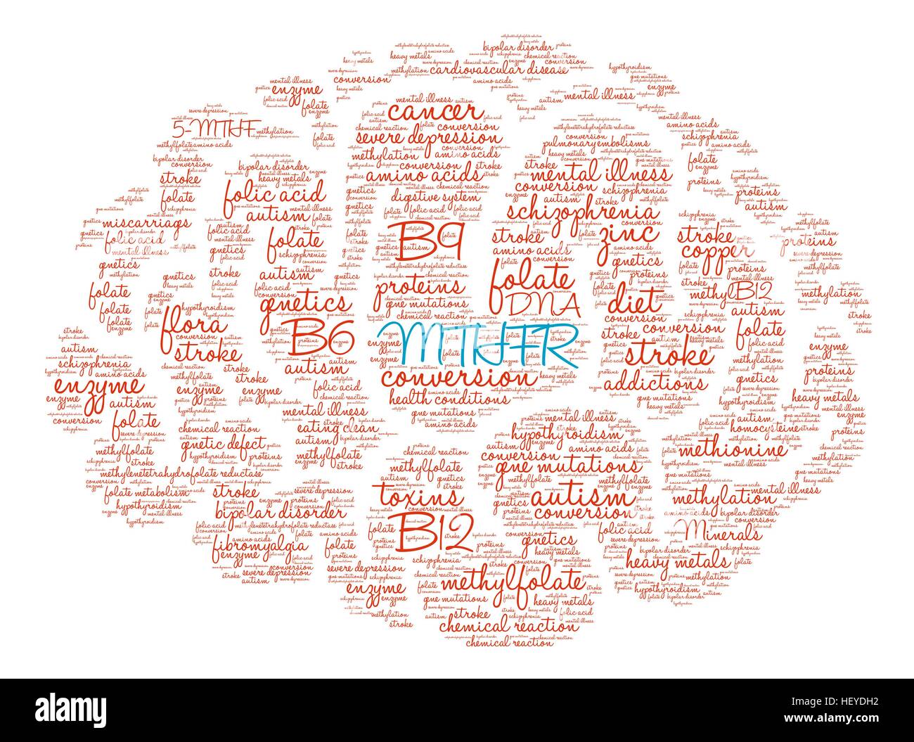 MTHFR Brain word cloud on a white background. Stock Vector