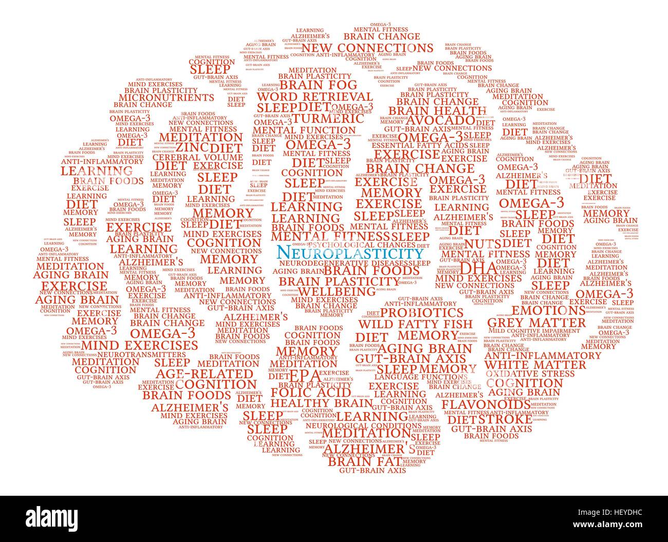 Neuroplasticity Brain word cloud on a white background. Stock Vector