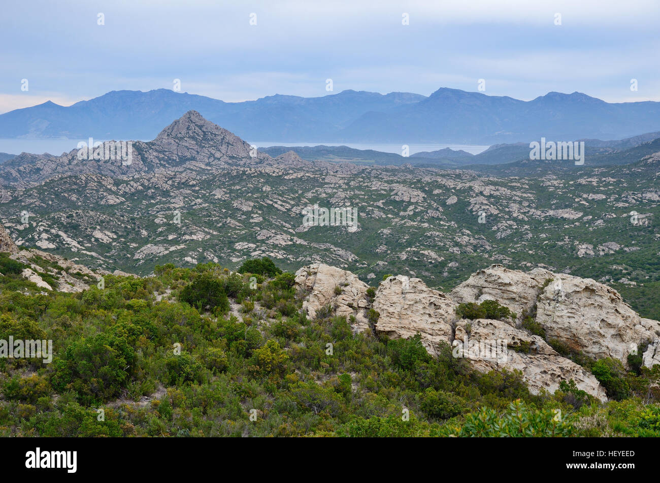 The Desert des Agriates is a barren, wild and beautiful wilderness in the Balagne region of the northern Corsica. This is the dry mountain area covere Stock Photo