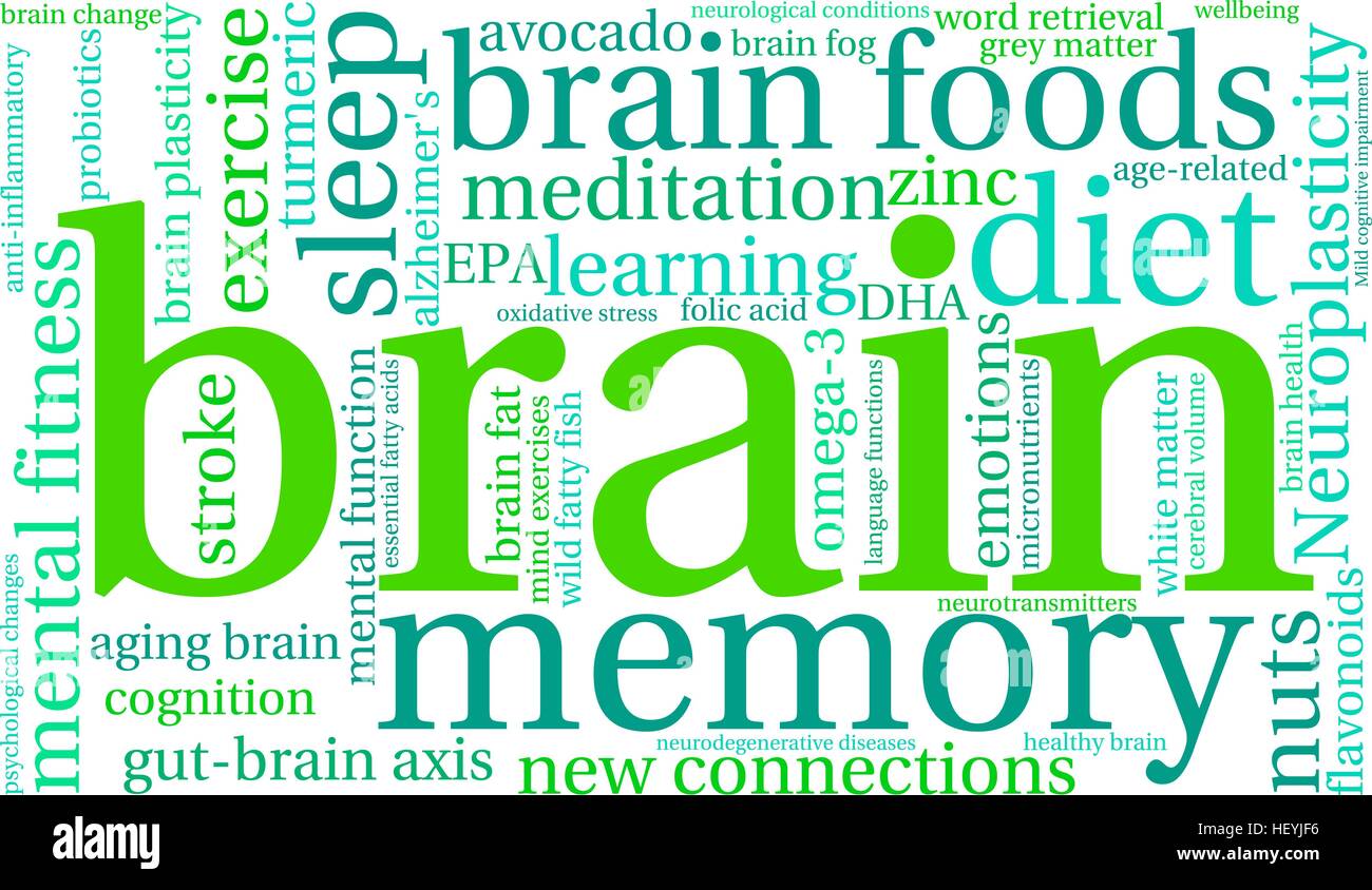 Brain word cloud on a white background. Stock Vector