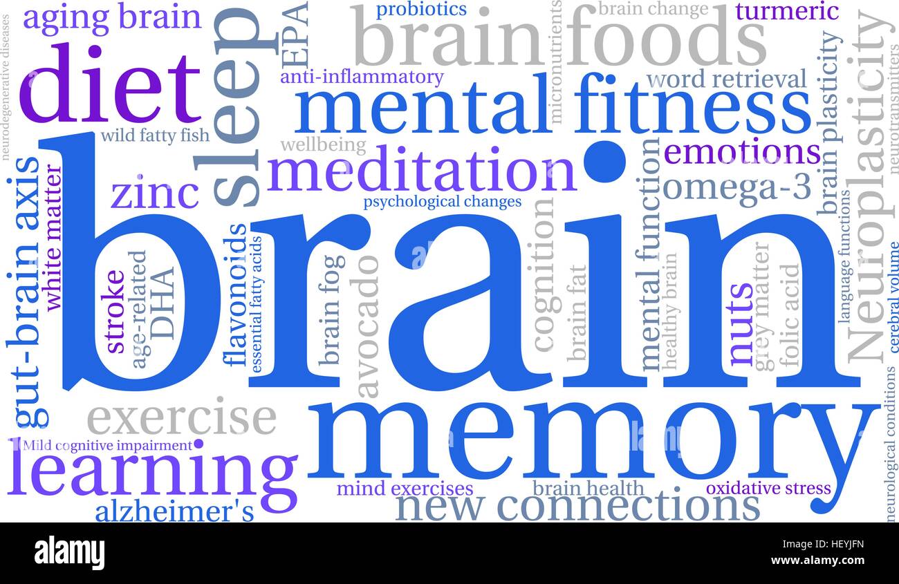Brain word cloud on a white background. Stock Vector