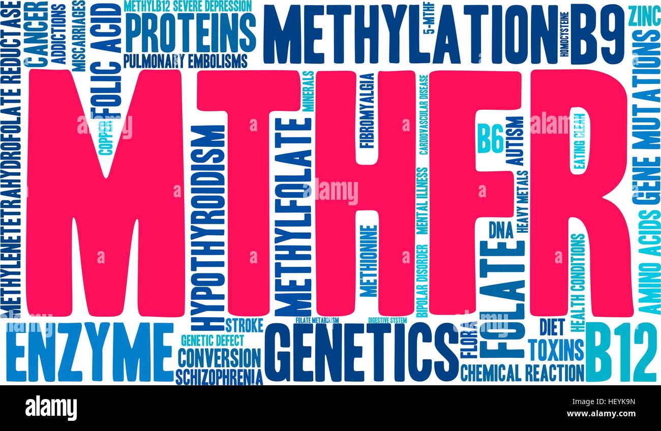 MTHFR word cloud on a white background. Stock Vector