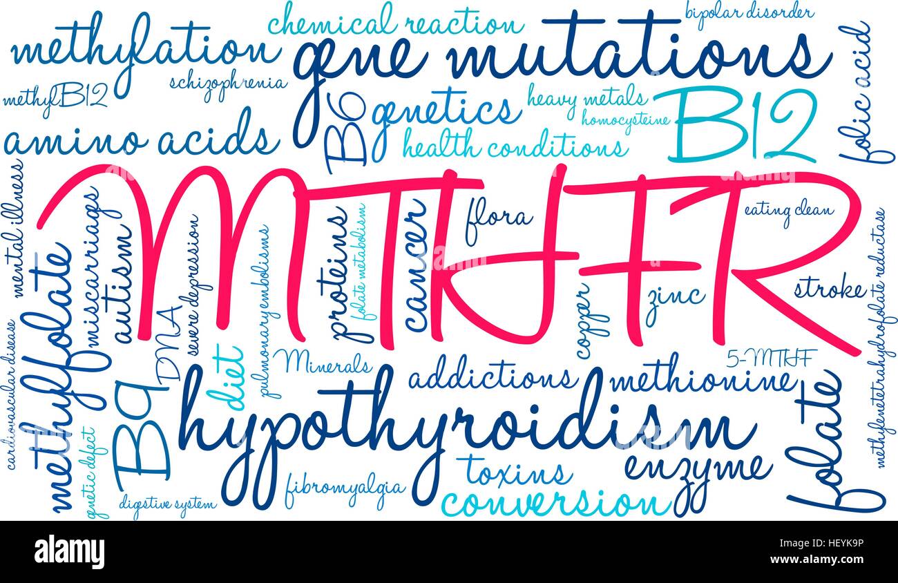 MTHFR word cloud on a white background. Stock Vector