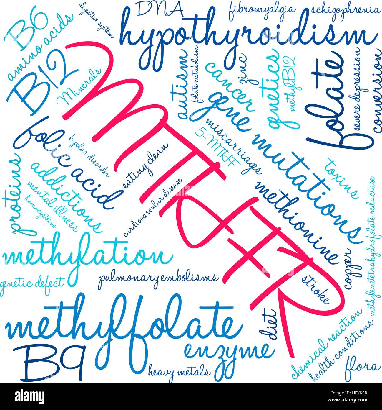 MTHFR word cloud on a white background. Stock Vector