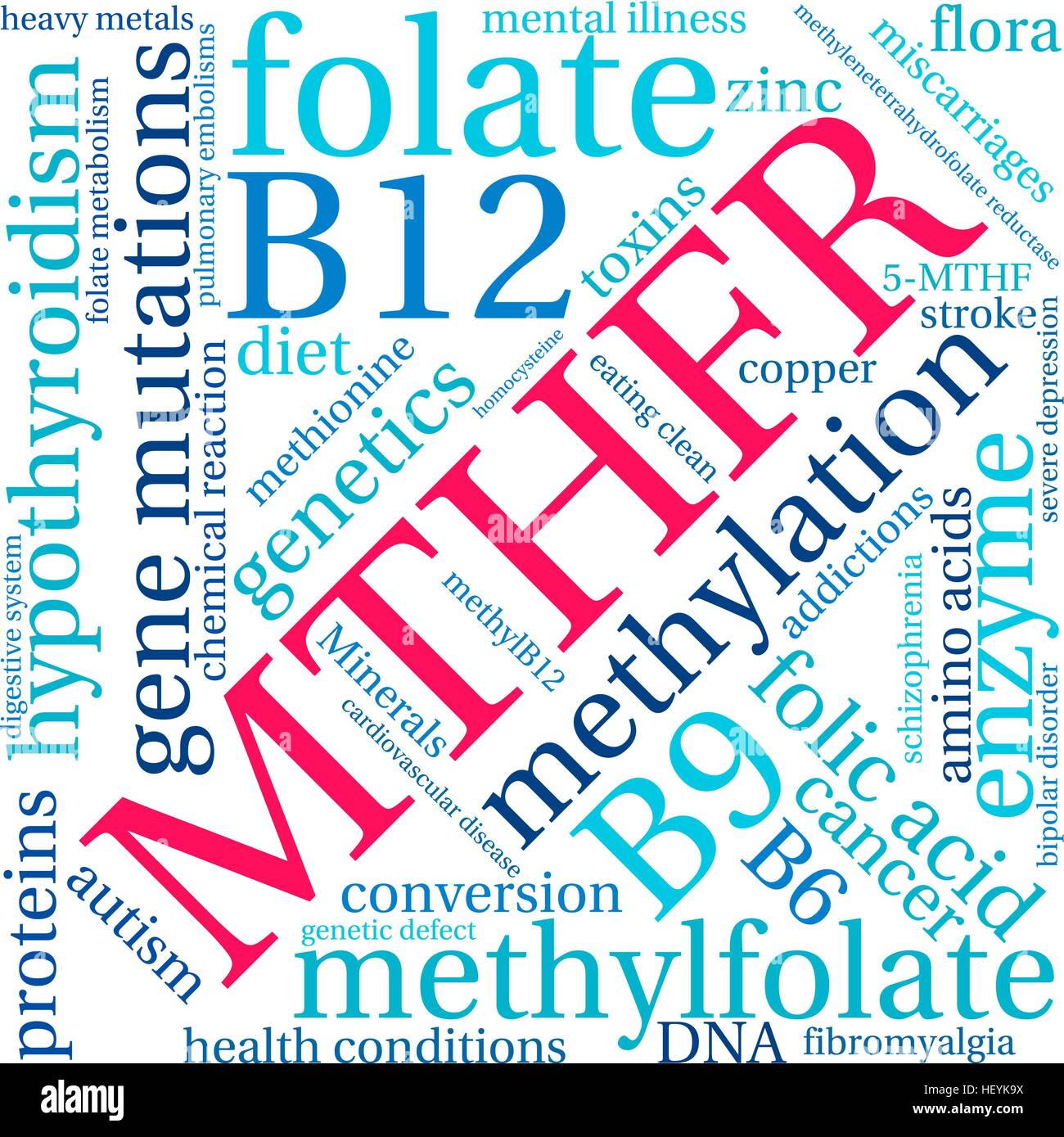 MTHFR word cloud on a white background. Stock Vector