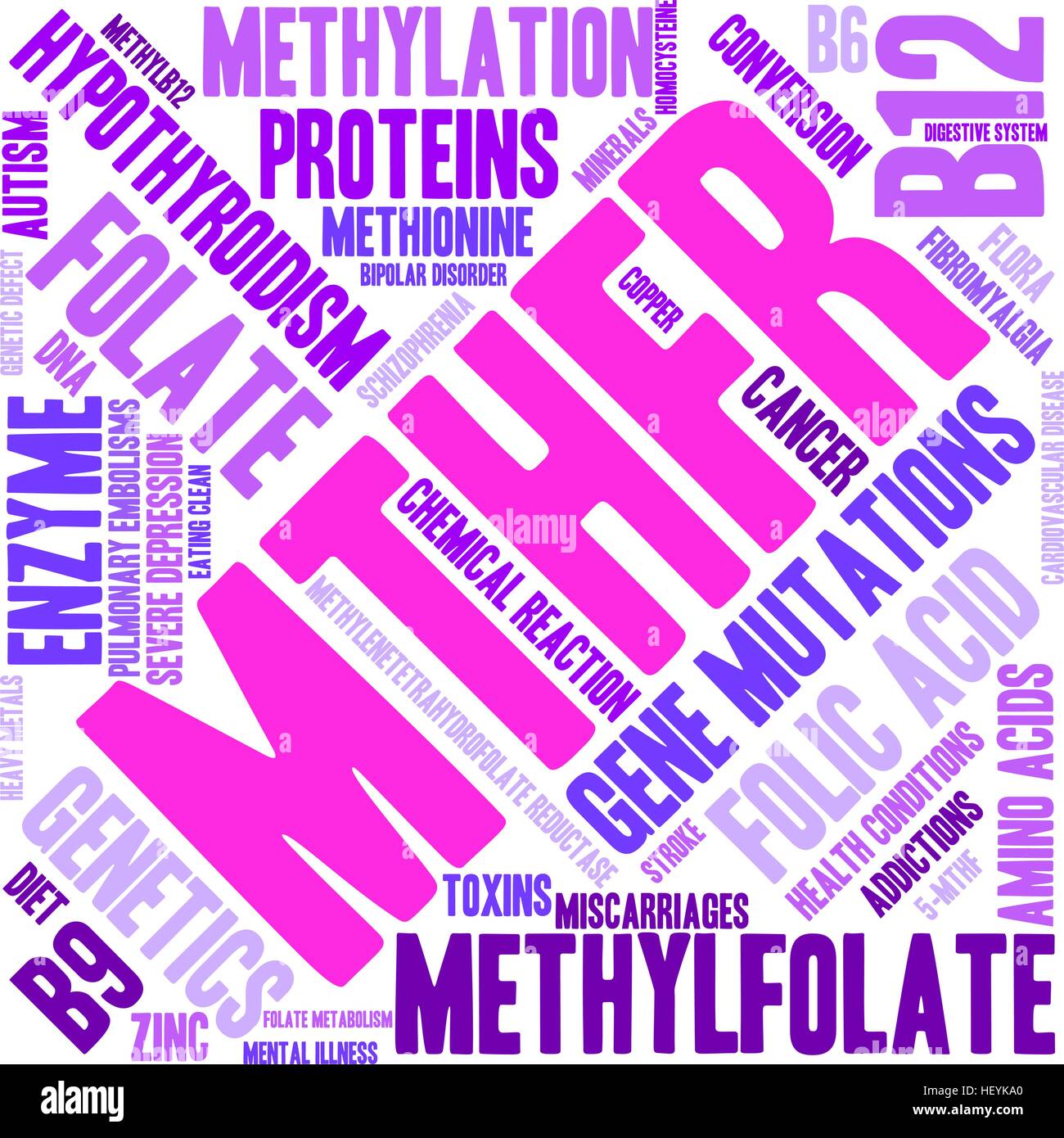 MTHFR word cloud on a white background. Stock Vector