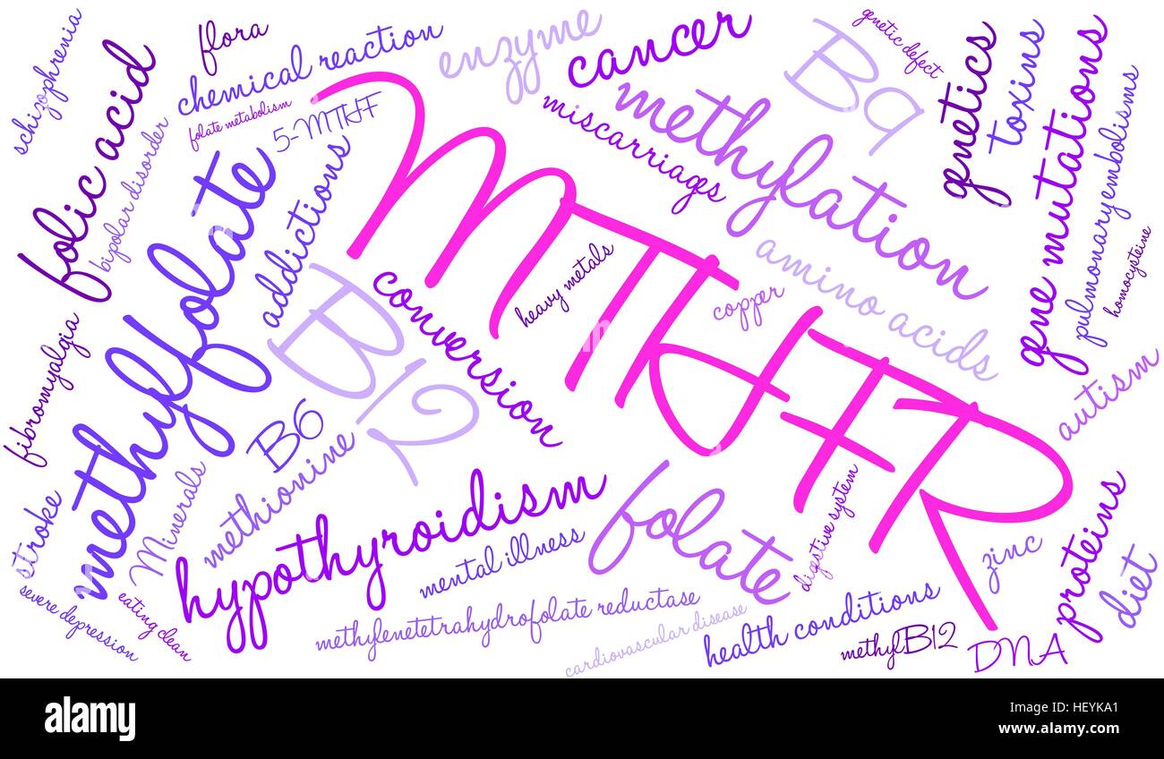 MTHFR word cloud on a white background. Stock Vector