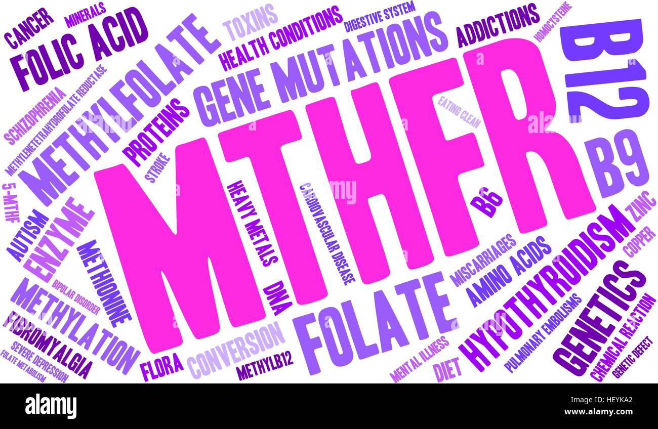 MTHFR word cloud on a white background. Stock Vector
