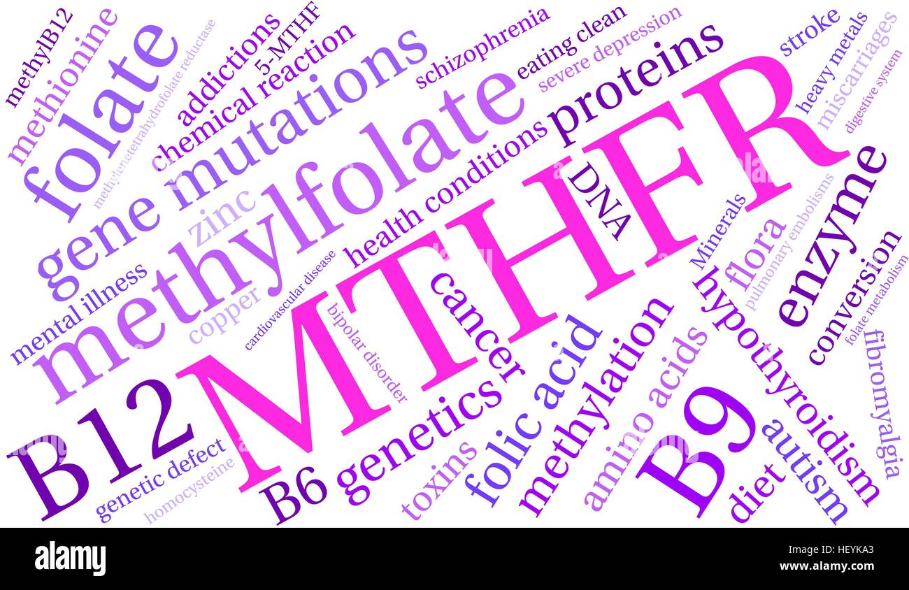 MTHFR word cloud on a white background. Stock Vector