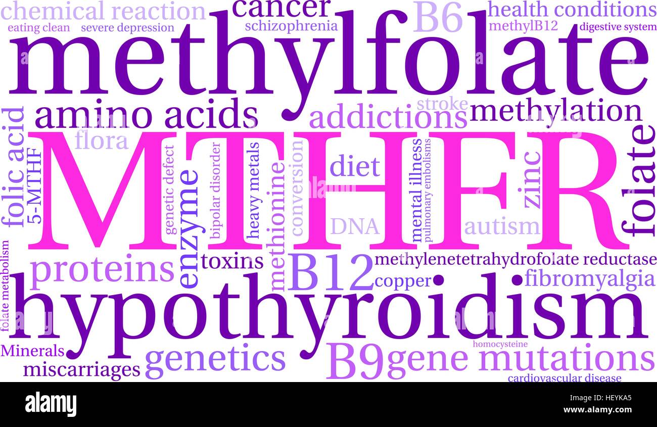 MTHFR word cloud on a white background. Stock Vector