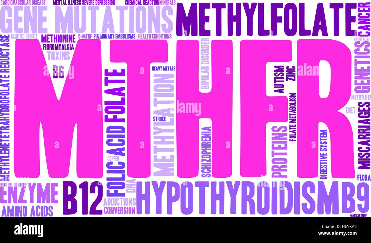 MTHFR word cloud on a white background. Stock Vector
