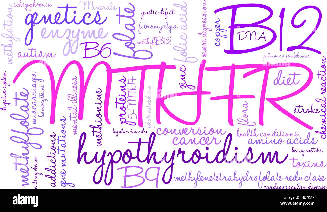 MTHFR word cloud on a white background. Stock Vector