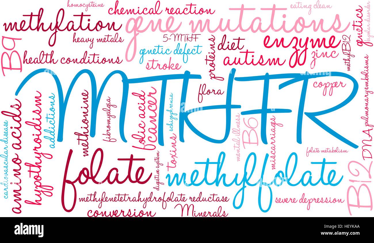 MTHFR word cloud on a white background. Stock Vector