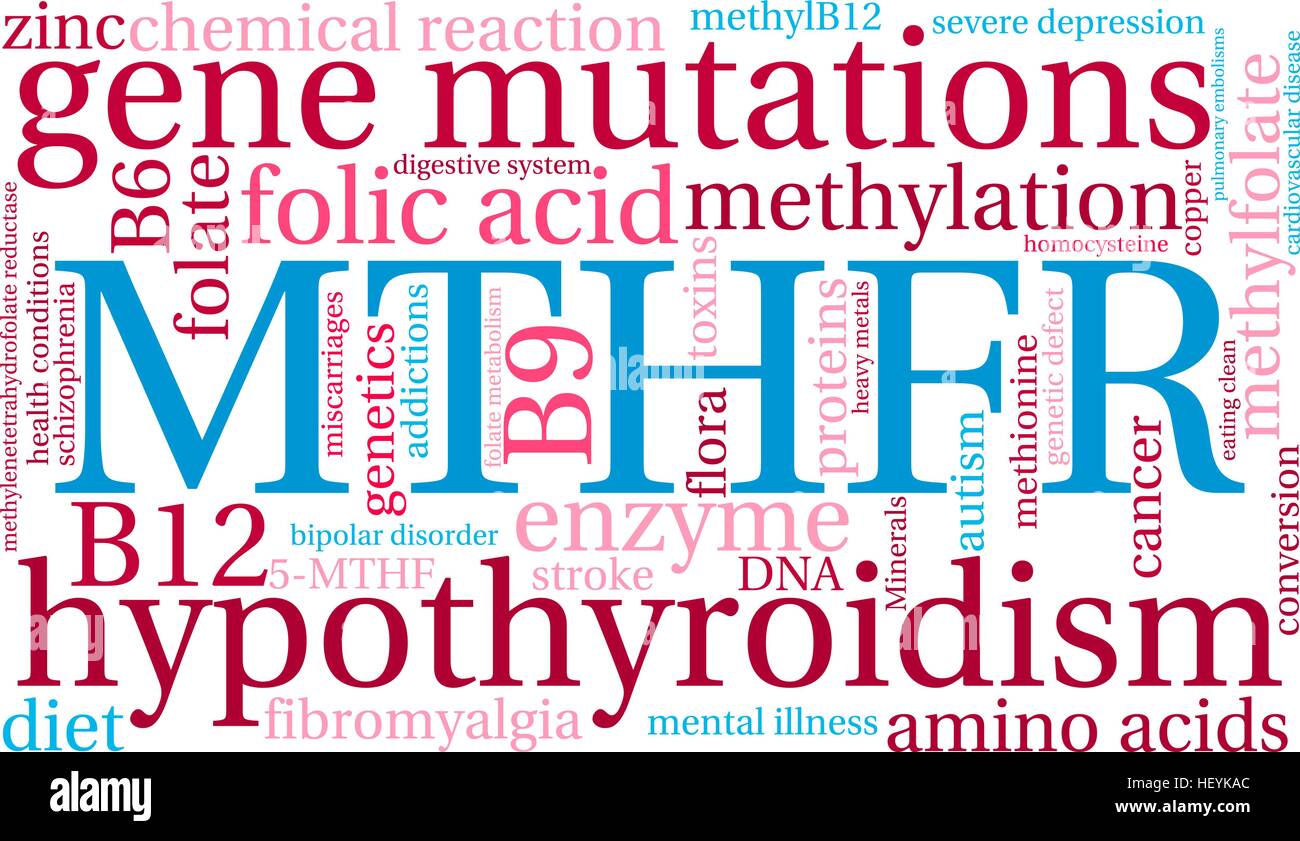MTHFR word cloud on a white background. Stock Vector