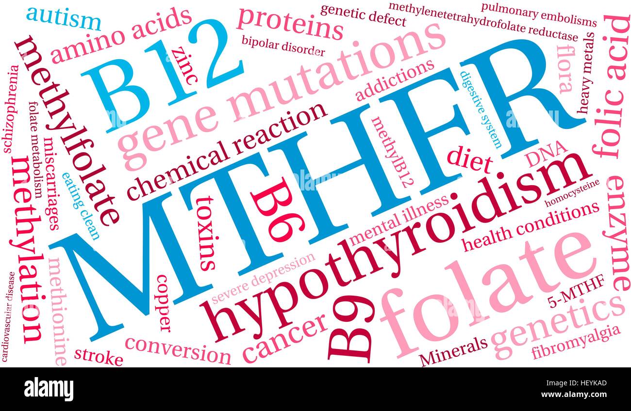 MTHFR word cloud on a white background. Stock Vector