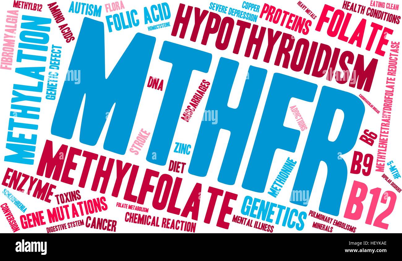 MTHFR word cloud on a white background. Stock Vector