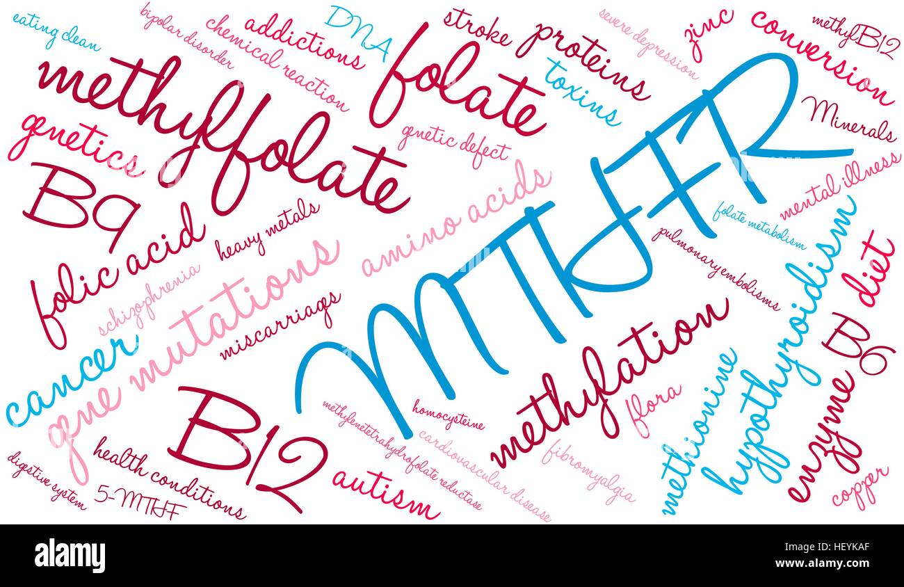 MTHFR word cloud on a white background. Stock Vector