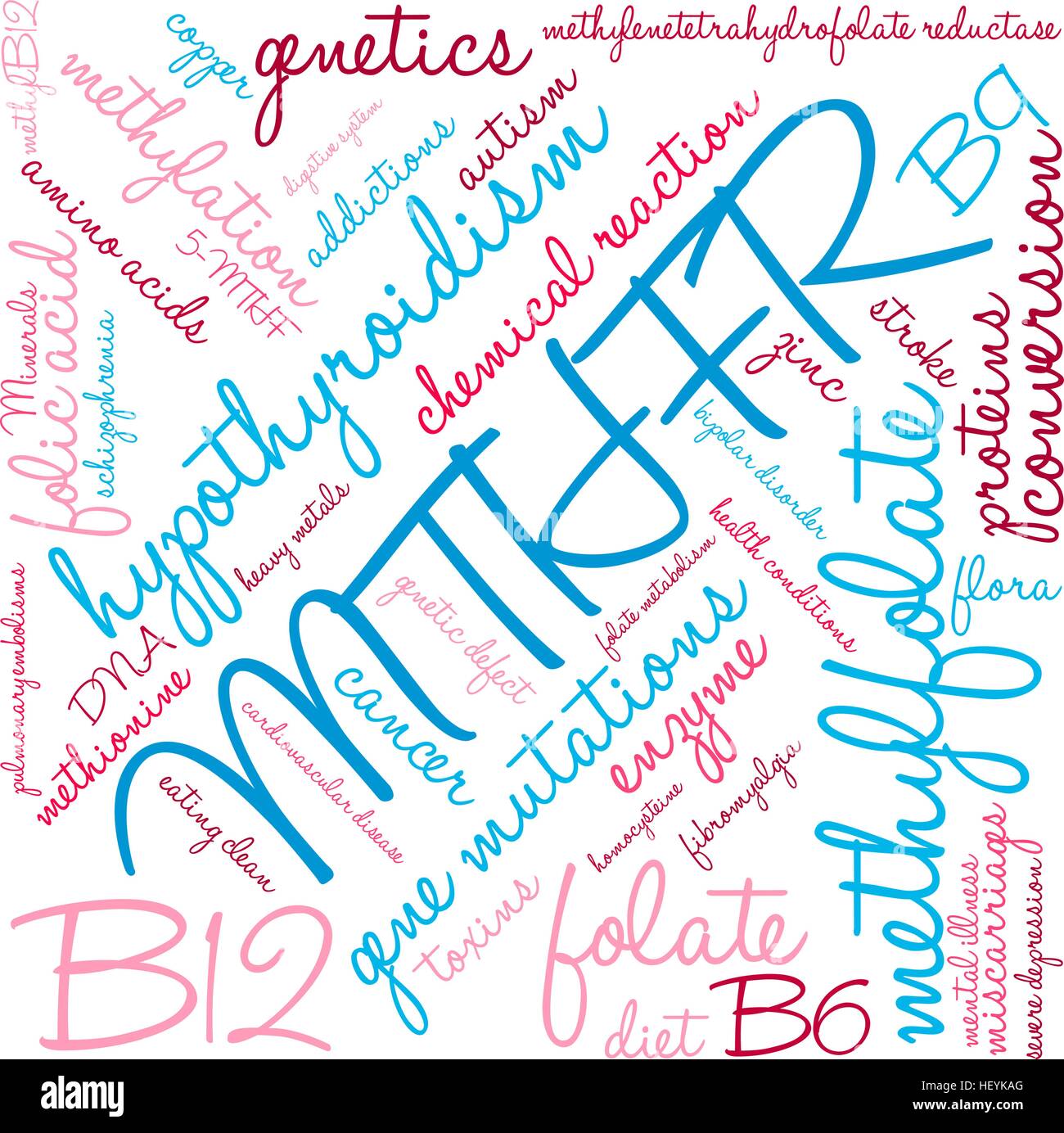 MTHFR word cloud on a white background. Stock Vector