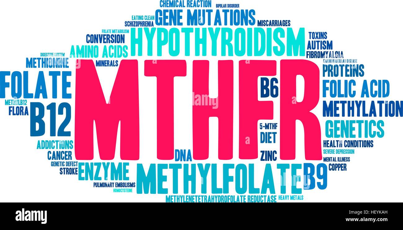 MTHFR word cloud on a white background. Stock Vector