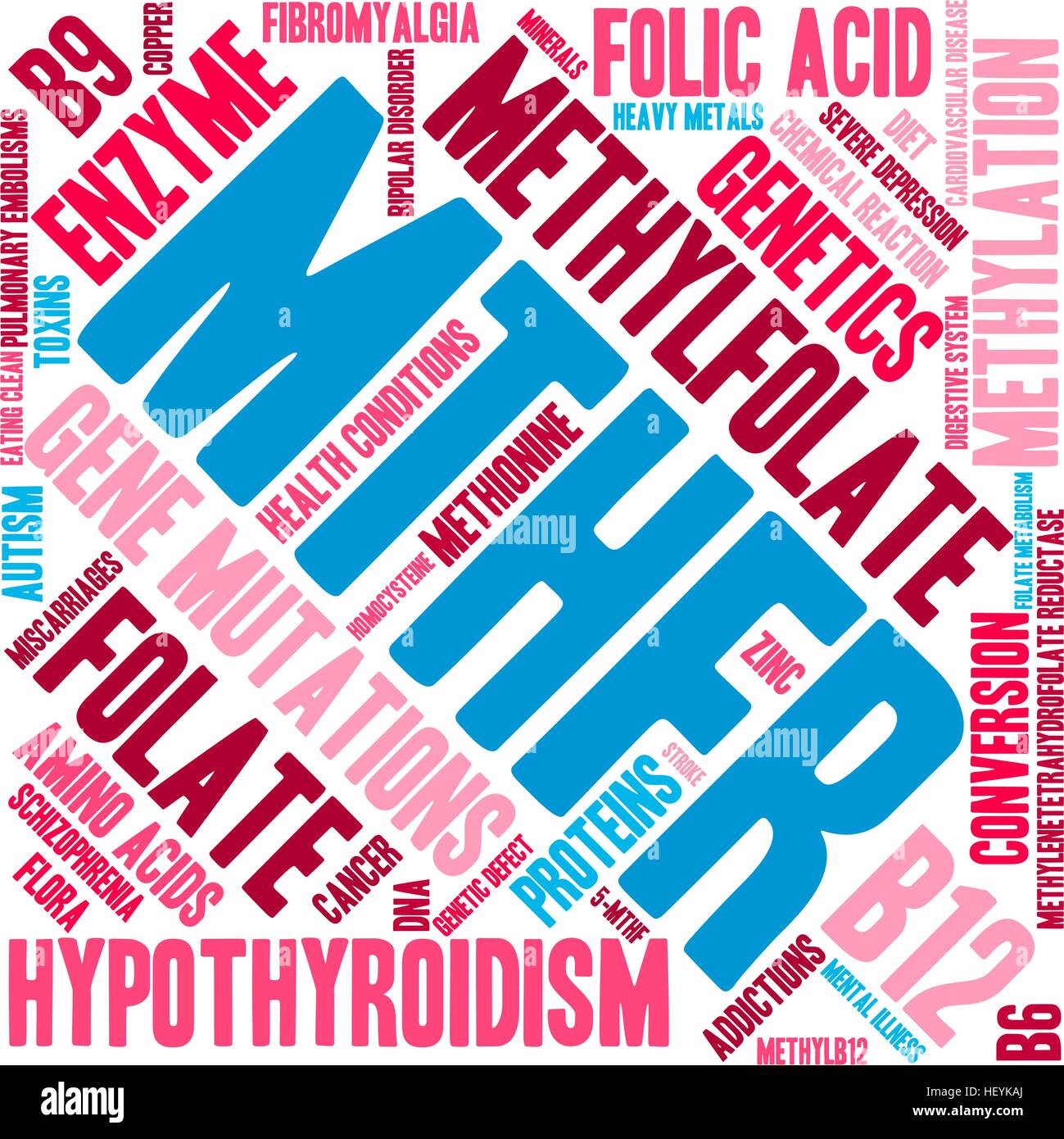 MTHFR word cloud on a white background. Stock Vector