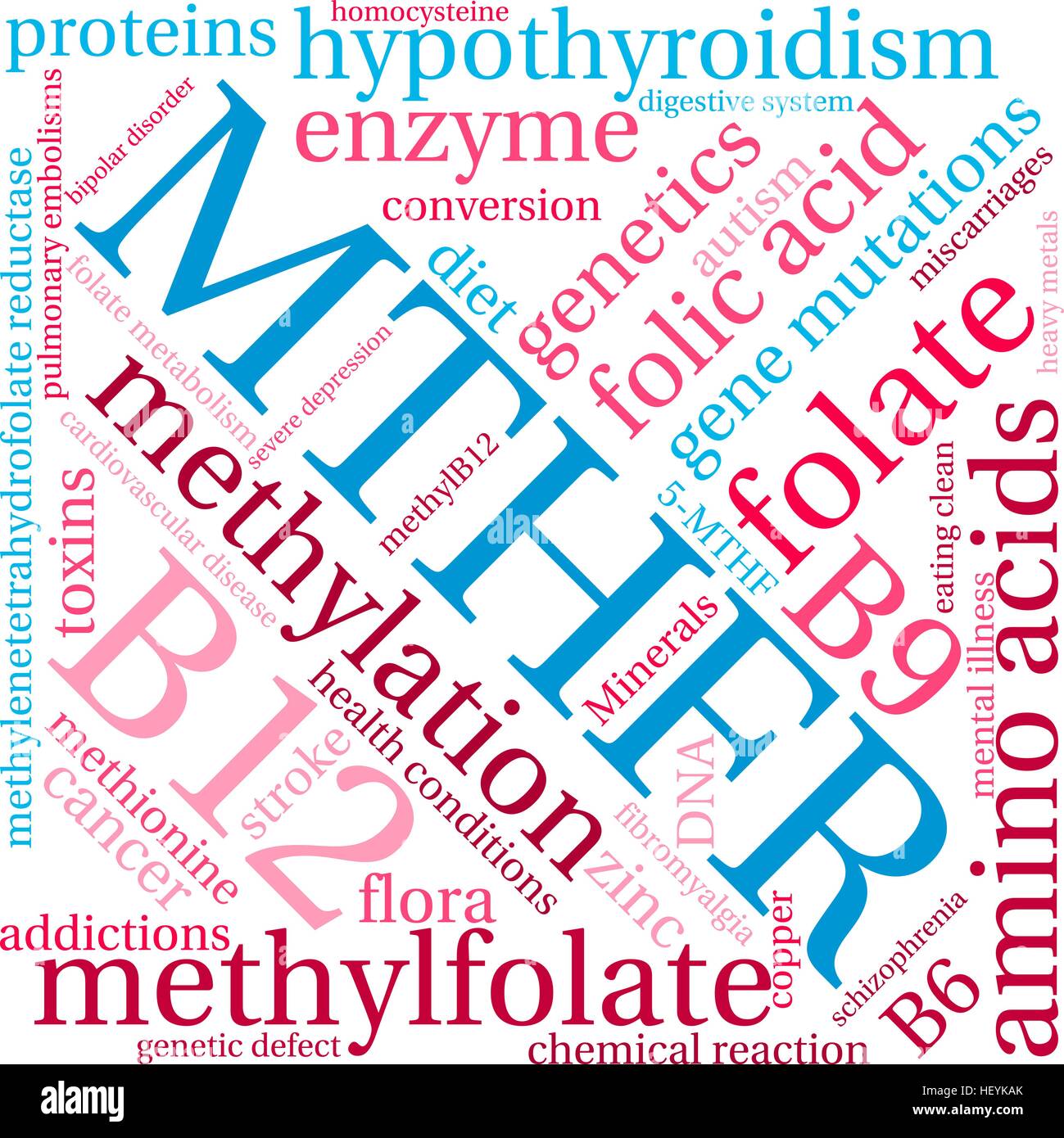 MTHFR word cloud on a white background. Stock Vector