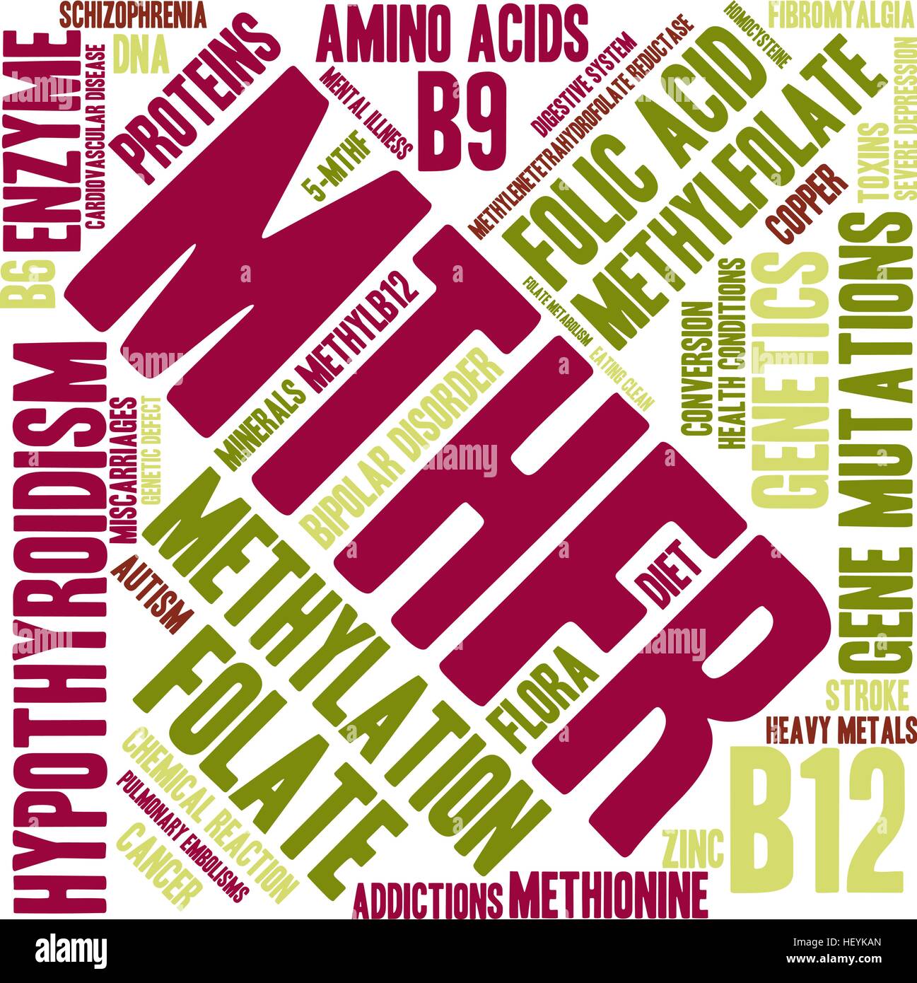 MTHFR word cloud on a white background. Stock Vector