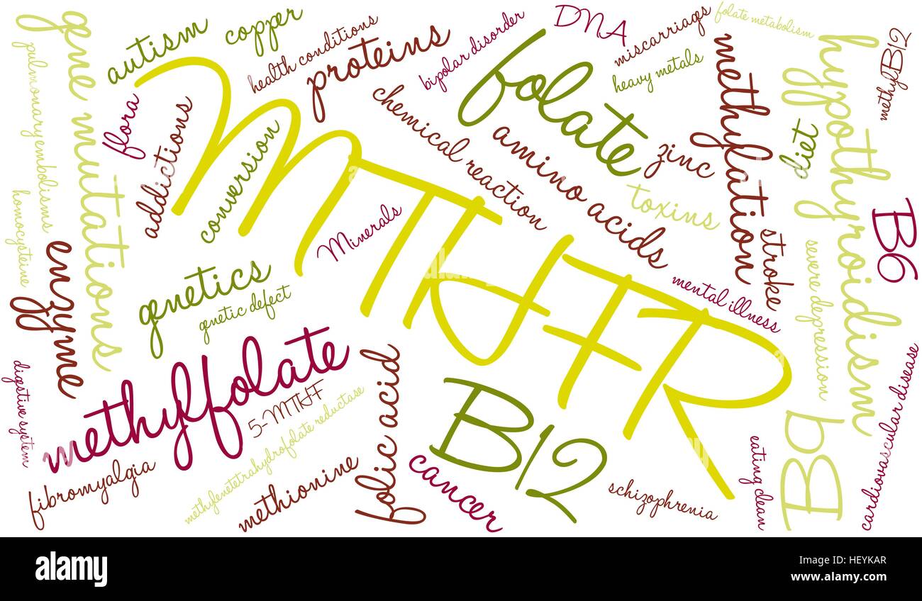 MTHFR word cloud on a white background. Stock Vector