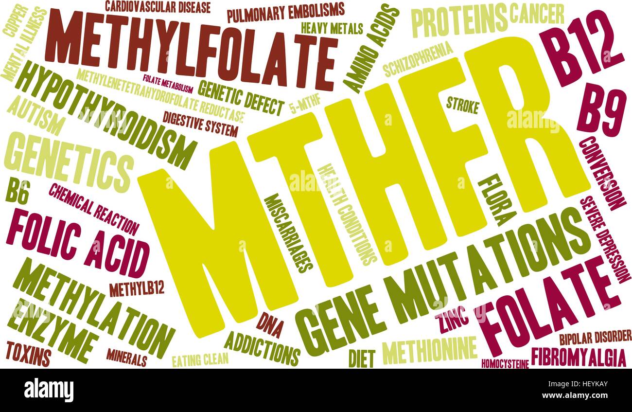 MTHFR word cloud on a white background. Stock Vector