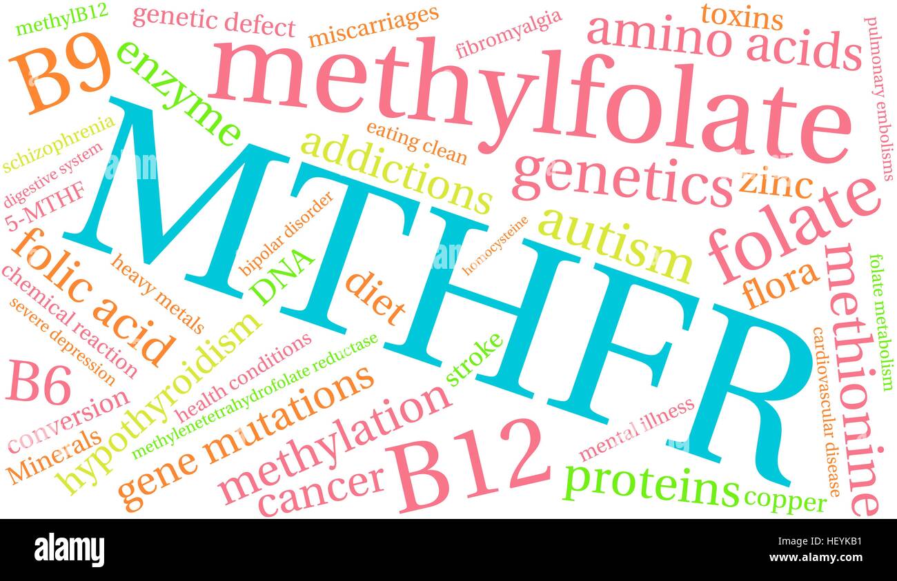 MTHFR word cloud on a white background. Stock Vector