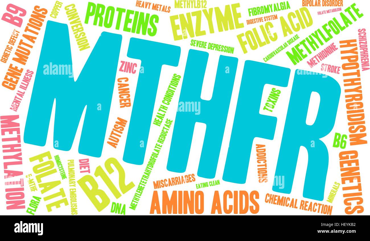 MTHFR word cloud on a white background. Stock Vector
