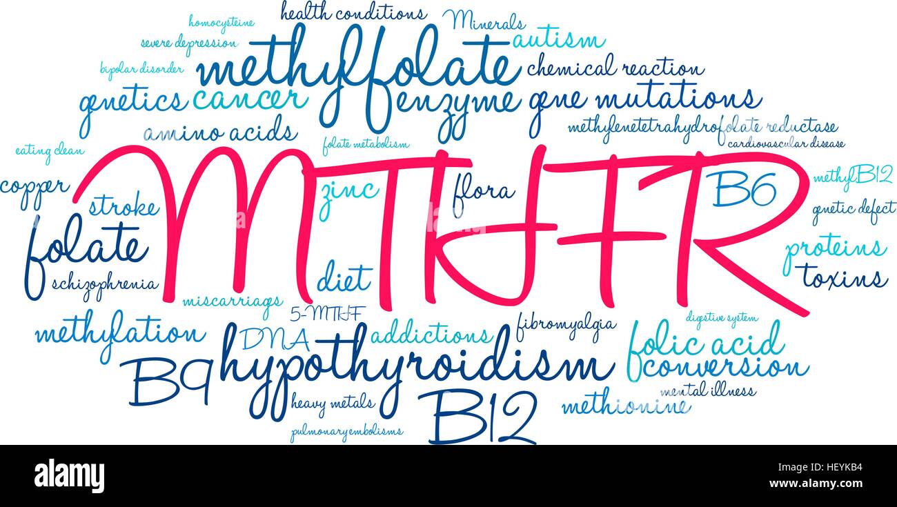 MTHFR word cloud on a white background. Stock Vector