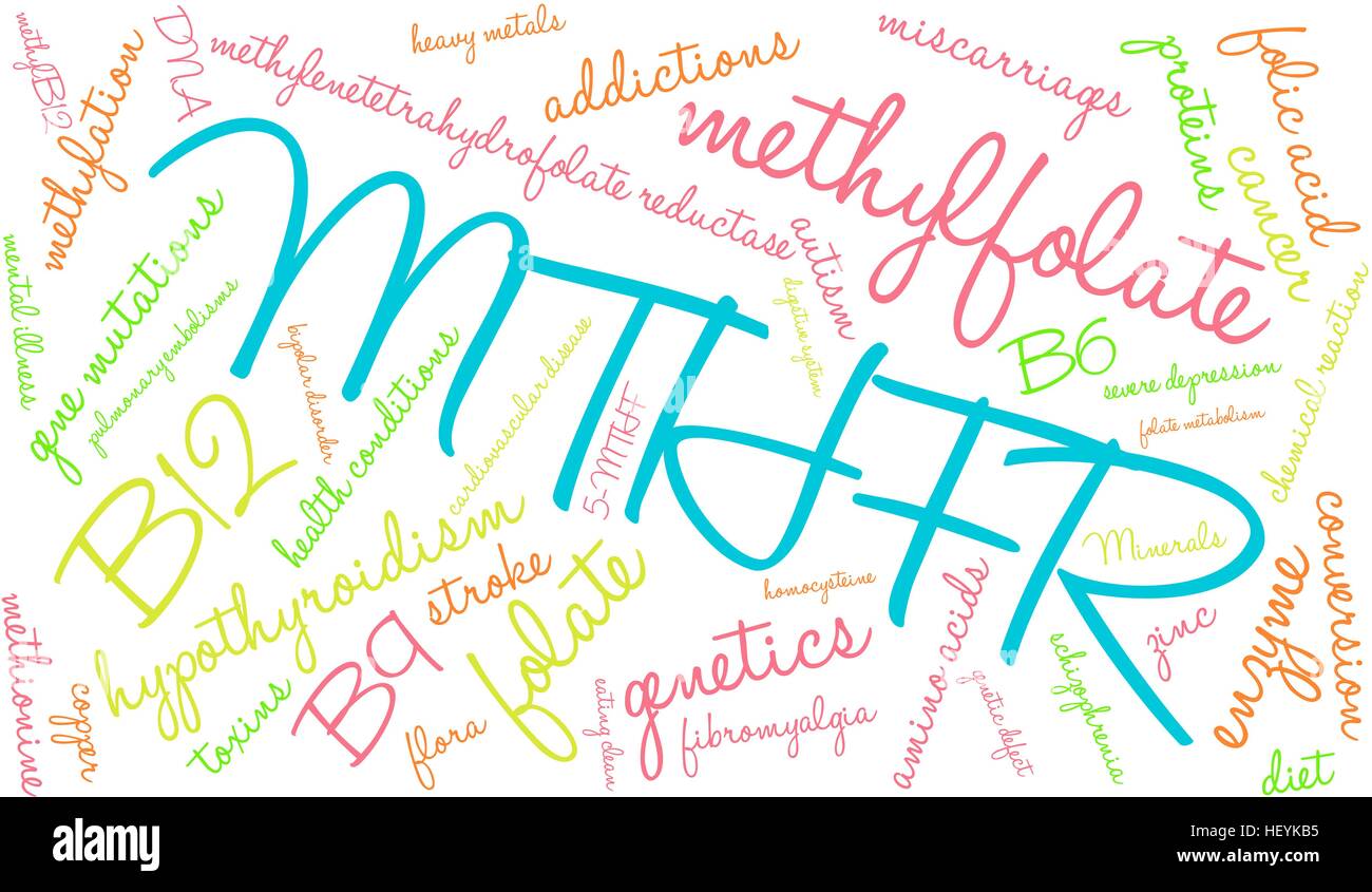 MTHFR word cloud on a white background. Stock Vector