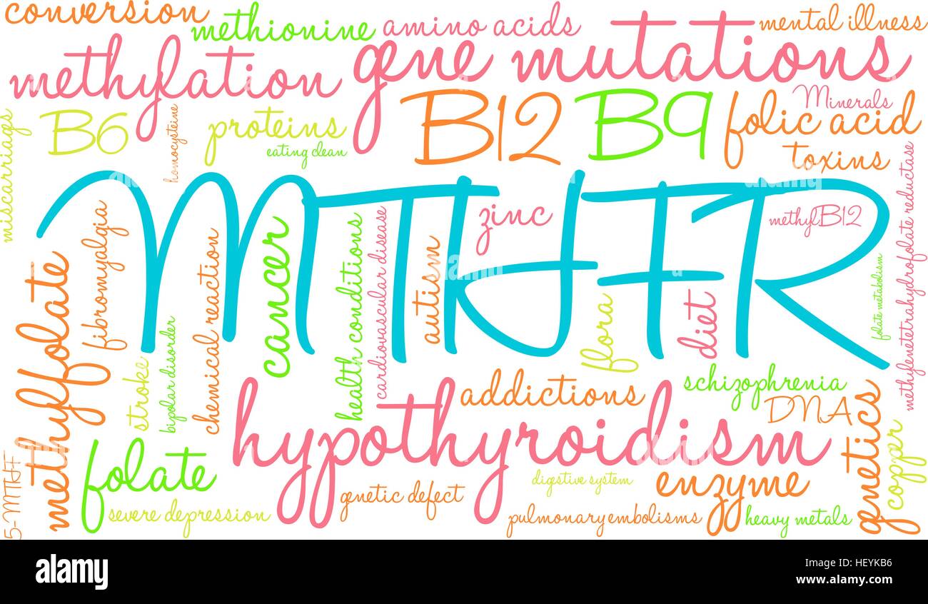 MTHFR word cloud on a white background. Stock Vector