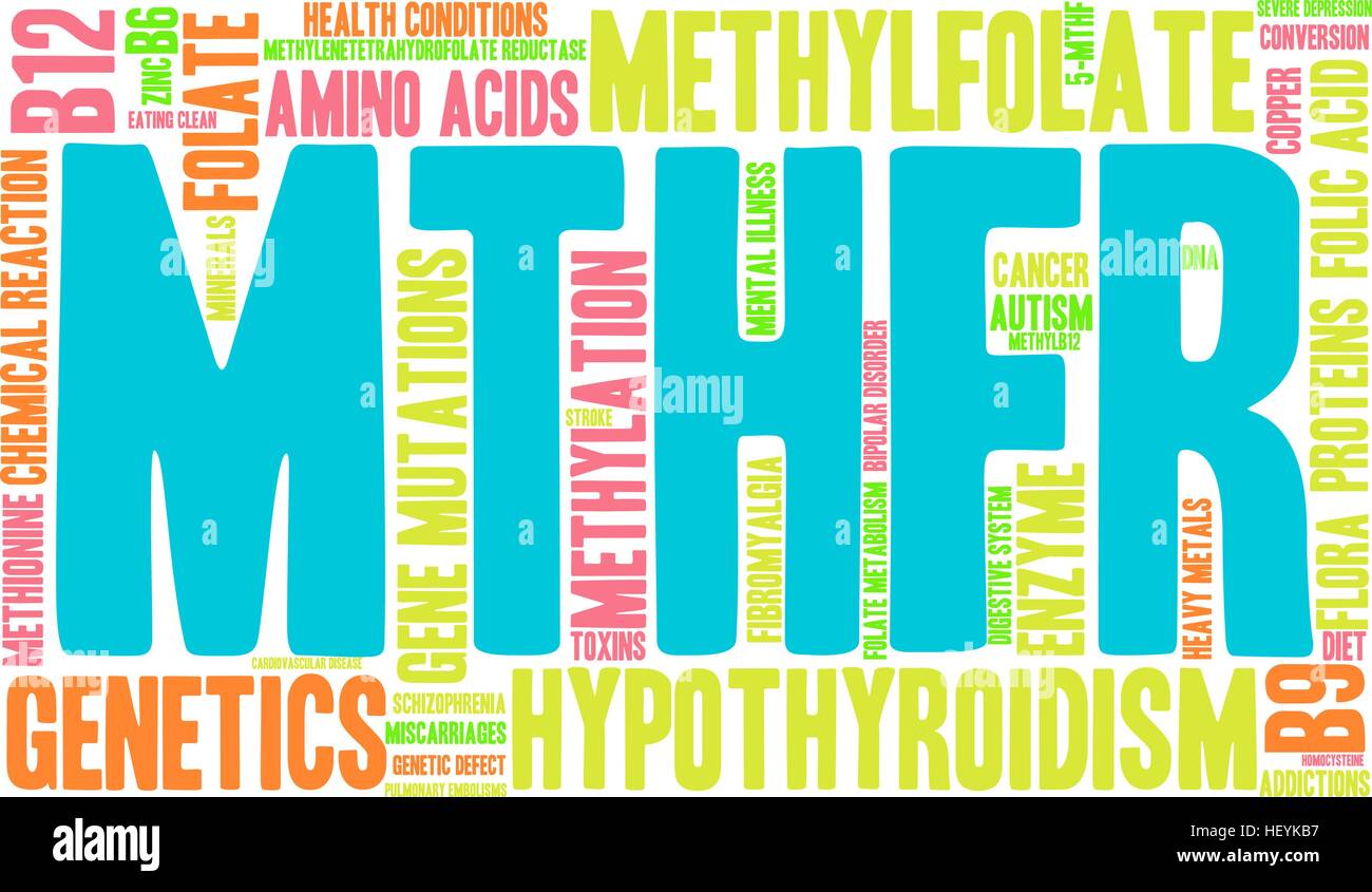 MTHFR word cloud on a white background. Stock Vector