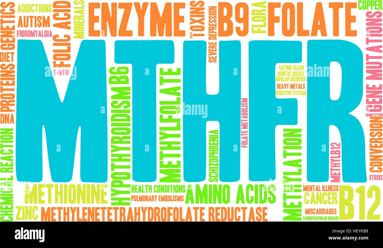 MTHFR word cloud on a white background. Stock Vector