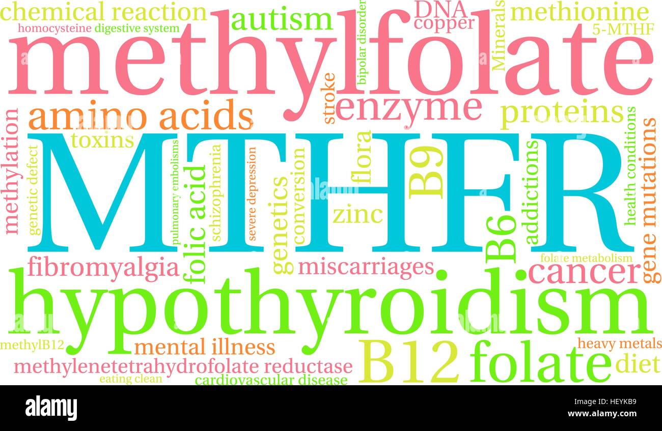 MTHFR word cloud on a white background. Stock Vector