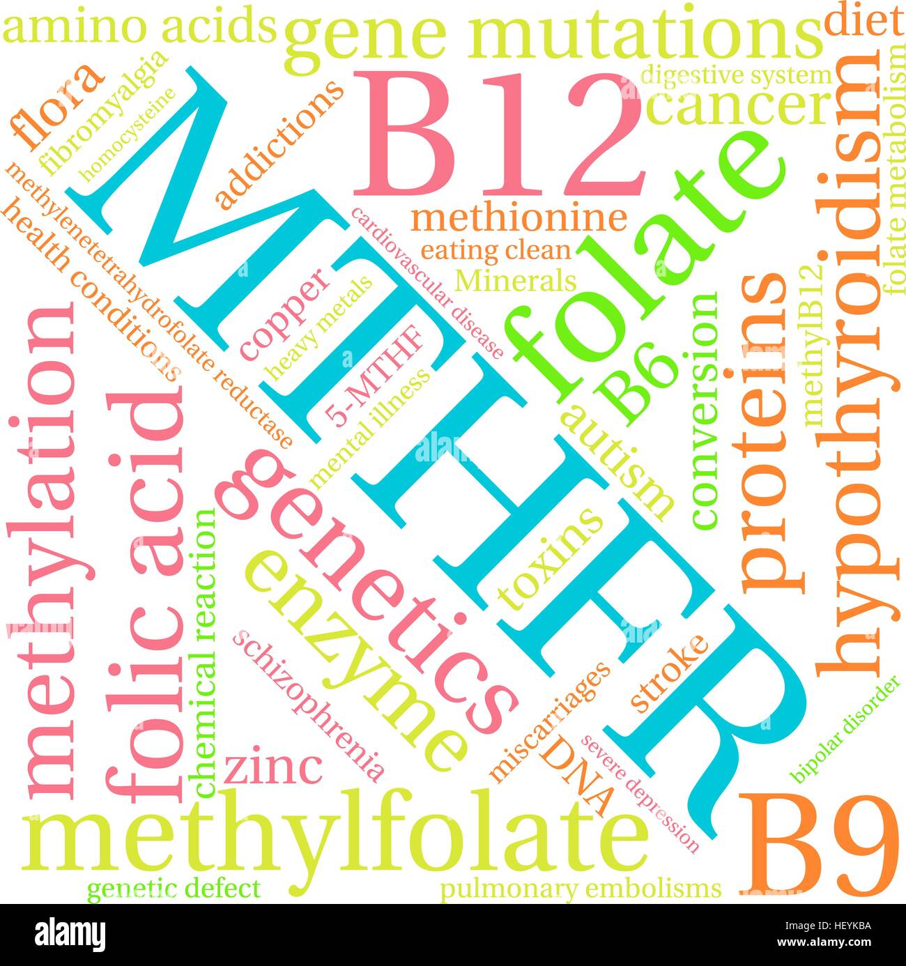 MTHFR word cloud on a white background. Stock Vector