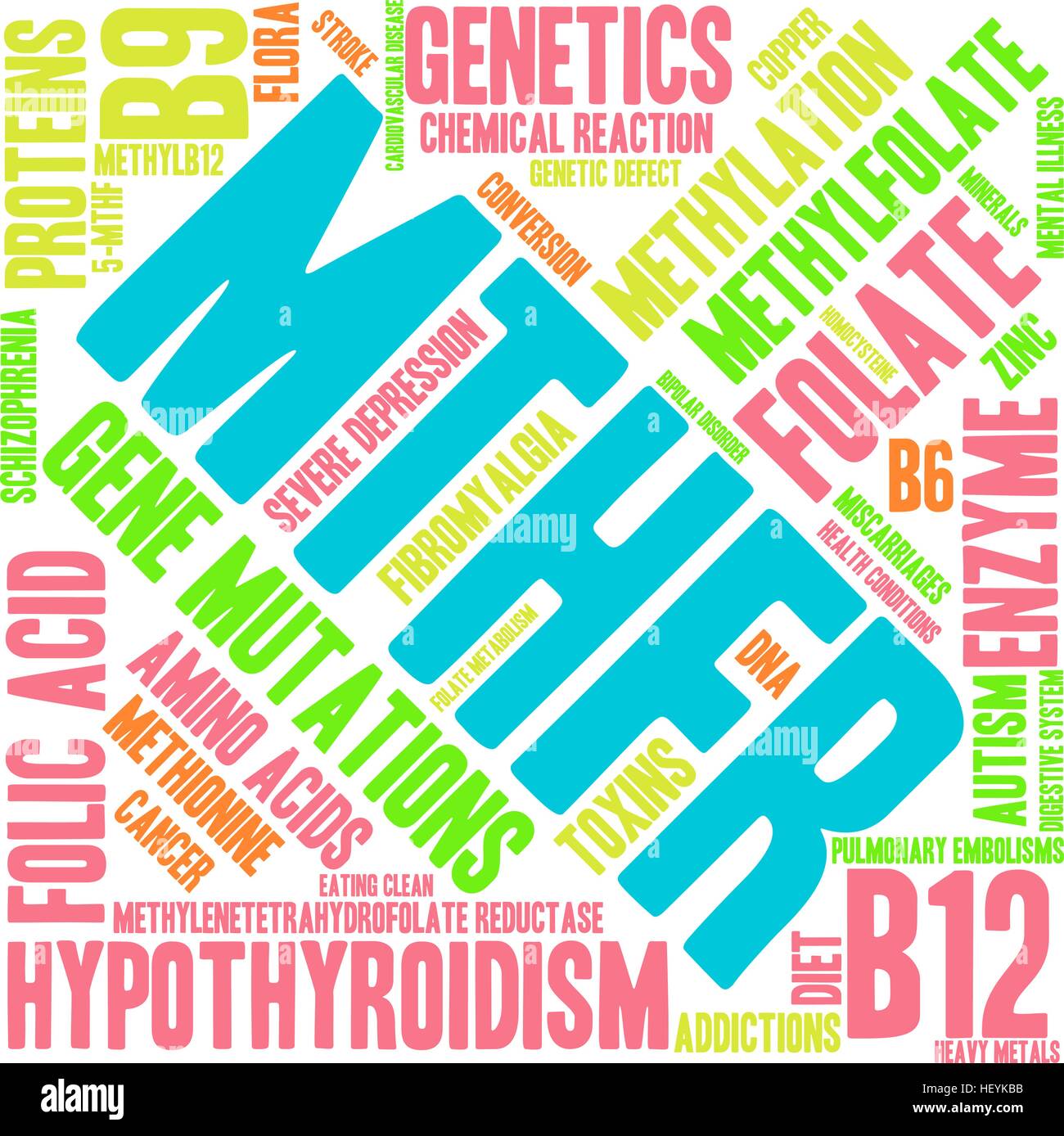 MTHFR word cloud on a white background. Stock Vector