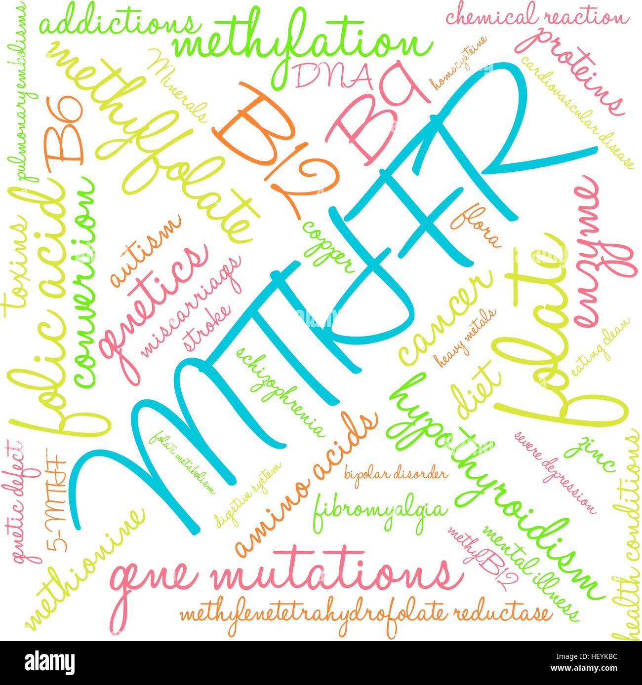 MTHFR word cloud on a white background. Stock Vector