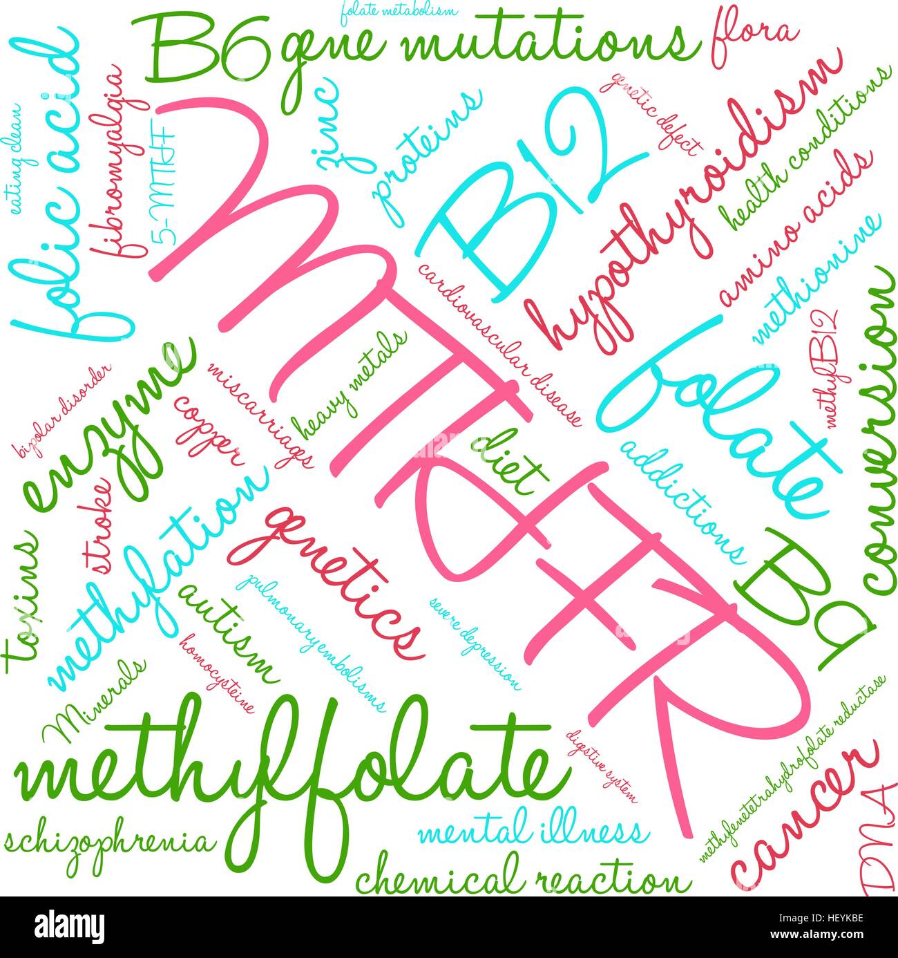 MTHFR word cloud on a white background. Stock Vector