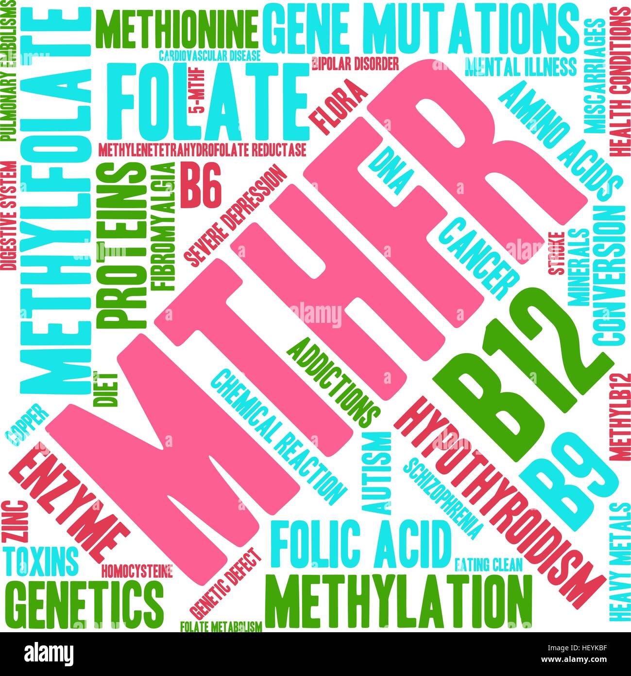 MTHFR word cloud on a white background. Stock Vector