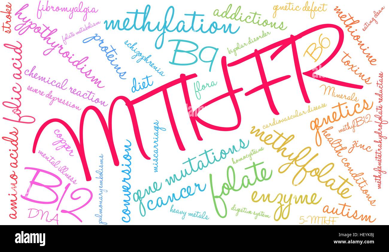 MTHFR word cloud on a white background. Stock Vector