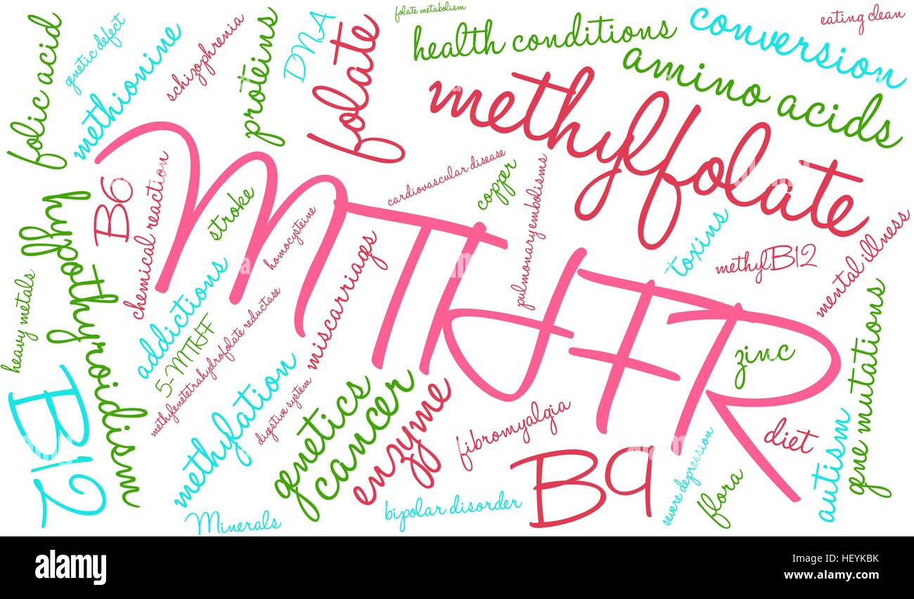 MTHFR word cloud on a white background. Stock Vector