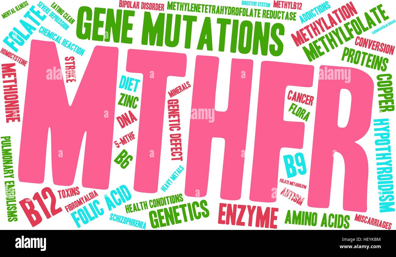 MTHFR word cloud on a white background. Stock Vector